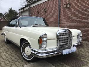 Image 4/25 of Mercedes-Benz 280 SE (1969)