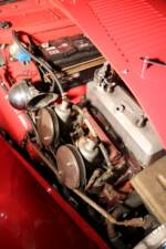 Imagen 41/49 de MG TD (1952)