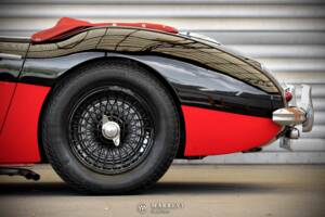 Immagine 27/68 di Austin-Healey 3000 Mk I (BT7) (1959)
