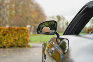 Image 81/100 de Mercedes-Benz SLS AMG Roadster (2011)