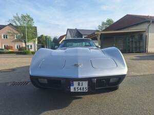 Image 4/82 of Chevrolet Corvette 25th Anniversary (1978)