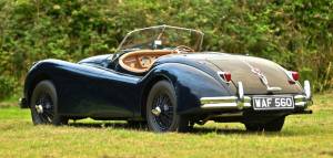 Image 8/50 de Jaguar XK 140 SE OTS (1956)