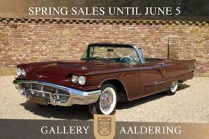 Image 1/50 of Ford Thunderbird (1960)