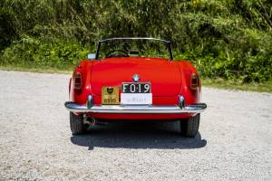 Image 35/46 of Alfa Romeo Giulietta Spider Veloce (1956)