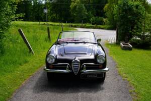 Image 3/10 of Alfa Romeo Giulia 1600 Spider (1962)