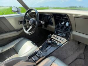Afbeelding 18/50 van Chevrolet Corvette Collector Edition (1982)