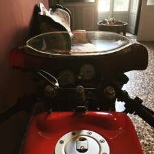 Immagine 31/50 di Ducati 750 F1 (1986)