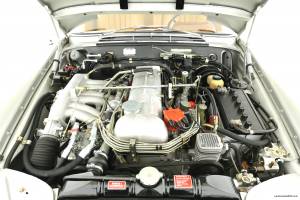 Bild 28/50 von Mercedes-Benz 300 SE (1967)