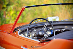 Bild 26/40 von Austin-Healey 3000 Mk I (BN7) (1959)
