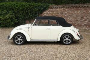 Bild 6/41 von Volkswagen Käfer 1500 (1967)