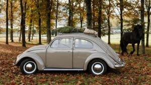 Image 1/56 of Volkswagen Beetle 1100 Standard "Ovali" (1954)