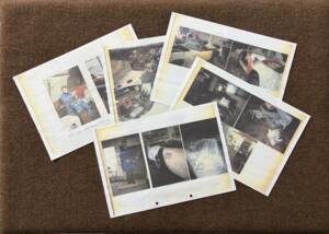 Image 13/30 of Evante Mk I (1989)