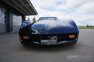 Image 13/58 de Chevrolet Corvette Sting Ray (1979)