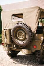 Bild 22/29 von Willys Jeep M38 A1 (1944)