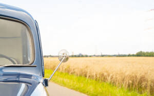 Immagine 25/83 di Ford V8 Model 46 Pick Up (1940)