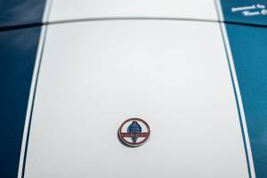 Immagine 4/44 di Everett-Morrison Shelby Cobra (1968)
