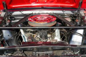 Image 31/50 of Ford Shelby GT 350 (1965)