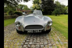 Bild 12/24 von AC Cobra 289 (2001)