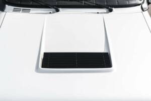 Afbeelding 26/50 van Renault R 5 Turbo 2 (1984)