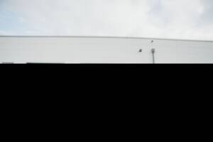 Afbeelding 18/18 van Porsche 911 Turbo 3.3 (1988)