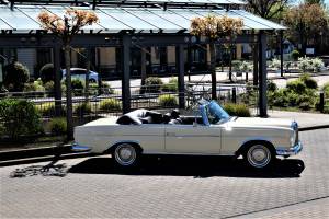 Imagen 5/98 de Mercedes-Benz 300 SE (1966)