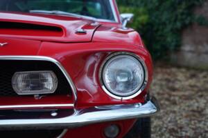 Image 33/50 de Ford Shelby GT 350 (1968)