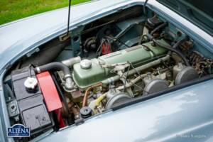 Immagine 40/44 di Austin-Healey 3000 Mk II (BN7) (1962)