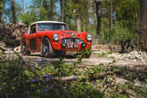 Imagen 4/28 de Austin-Healey 3000 Mk I (BT7) (1960)