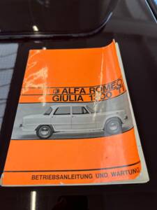 Bild 17/48 von Alfa Romeo Giulia 1300 TI (1969)