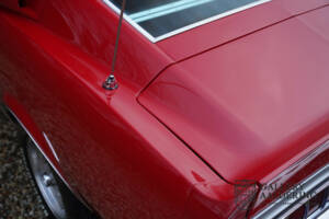 Immagine 45/50 di Ford Shelby GT 350 (1968)