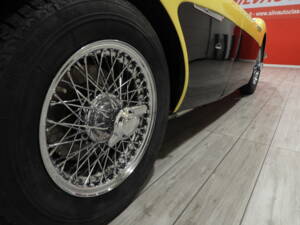 Bild 9/50 von Austin-Healey 3000 Mk I (BN7) (1960)