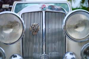 Bild 35/50 von Triumph 2000 Roadster (1949)