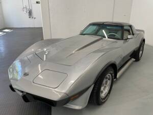 Bild 5/40 von Chevrolet Corvette 25th Anniversary (1978)