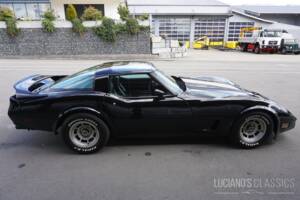 Image 10/58 de Chevrolet Corvette Sting Ray (1979)
