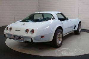Bild 10/19 von Chevrolet Corvette Sting Ray (1978)