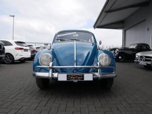 Bild 2/17 von Volkswagen Maggiolino 1200 Export &quot;Dickholmer&quot; (1964)