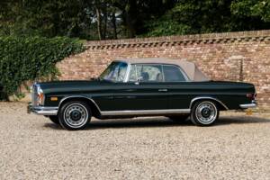 Afbeelding 9/50 van Mercedes-Benz 280 SE (1969)
