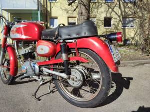 Immagine 8/49 di Benelli Nuovo Leoncino (1965)