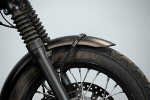 Immagine 35/50 di Triumph DUMMY (2017)