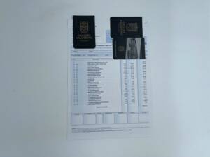 Bild 9/50 von Alfa Romeo Giulietta Spider Veloce (1959)