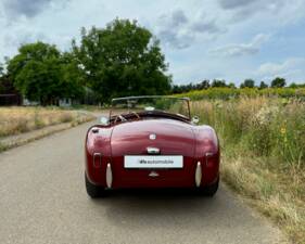 Imagen 4/11 de AC Ace Bristol (1960)