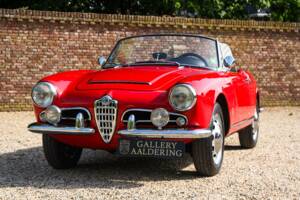 Bild 30/50 von Alfa Romeo Giulia 1600 Spider Veloce (1965)
