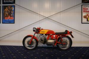 Image 17/27 of Aermacchi Ala Verde (1962)