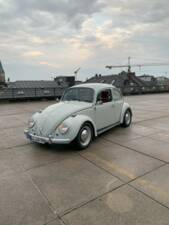 Bild 10/56 von Volkswagen Käfer 1300 (1968)