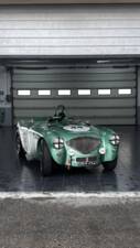 Immagine 21/40 di Austin-Healey 100/4 (BN1) (1954)