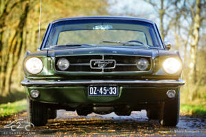 Image 2/58 of Ford Mustang 289 (1965)