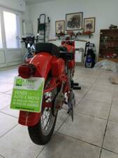 Image 38/39 of Moto Guzzi DUMMY (1954)