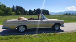 Image 11/38 of Mercedes-Benz 280 SE 3,5 (1969)
