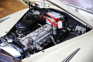 Bild 26/27 von Mercedes-Benz 300 b Cabriolet D (1955)