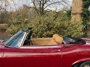Afbeelding 43/50 van Jaguar E-Type V12 (1973)